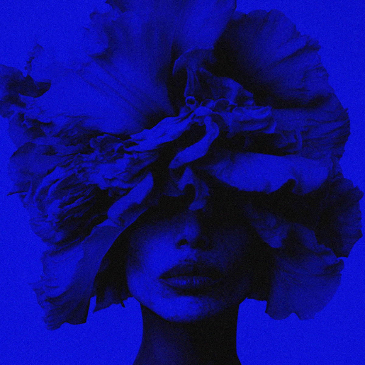 BIBBI PARFUM - Iris Wallpaper Eau de Parfum