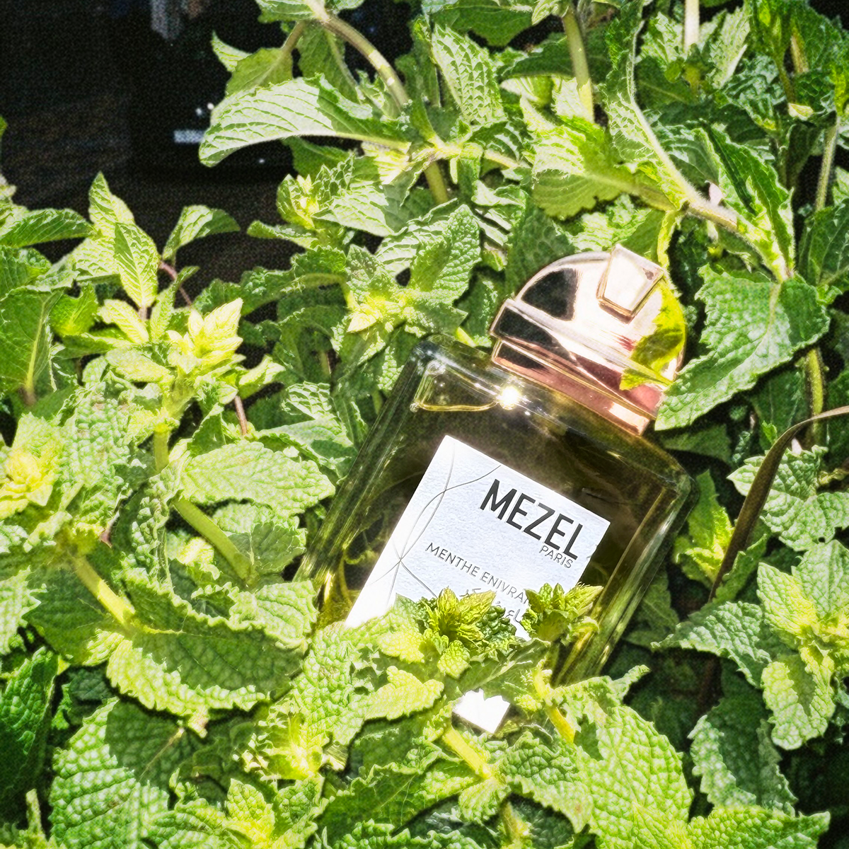 MEZEL - Menthe Enivrante Eau de Parfum