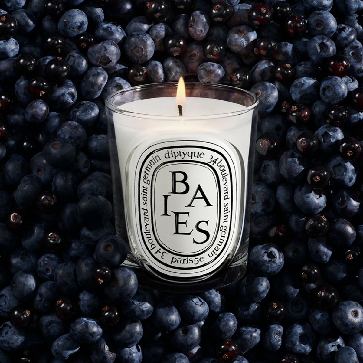 Diptyque - Baies Classic Scented Candle