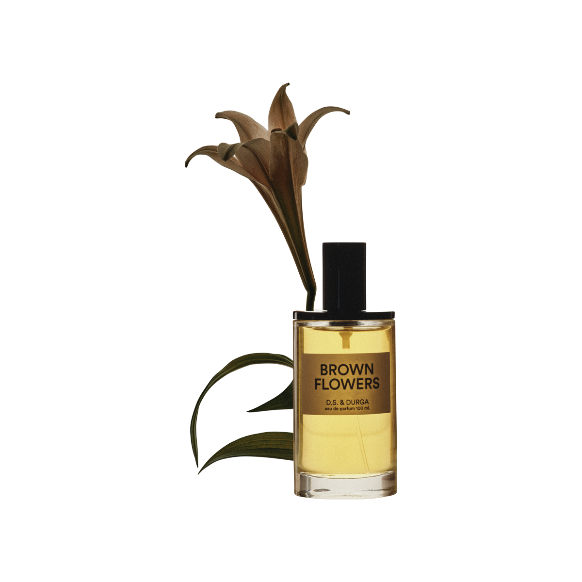 D.S. & DURGA - Brown Flowers Eau de Parfum