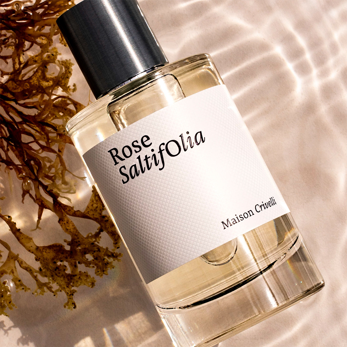 Maison Crivelli - Rose Saltifolia Eau de Parfum