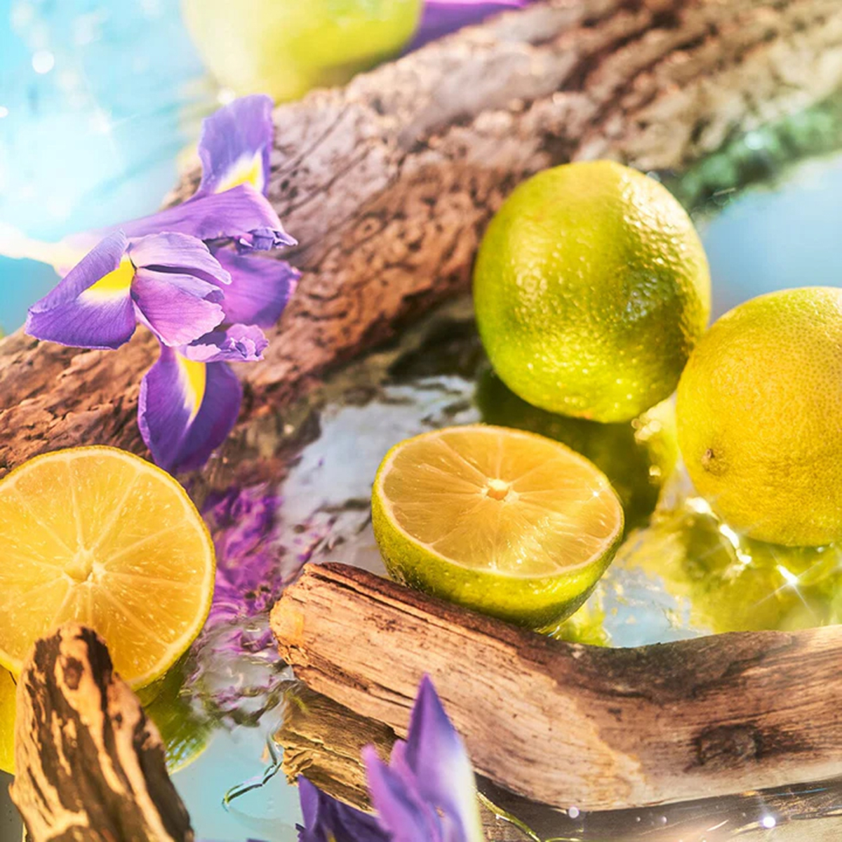 ROJA London - Oceania Eau de Parfum