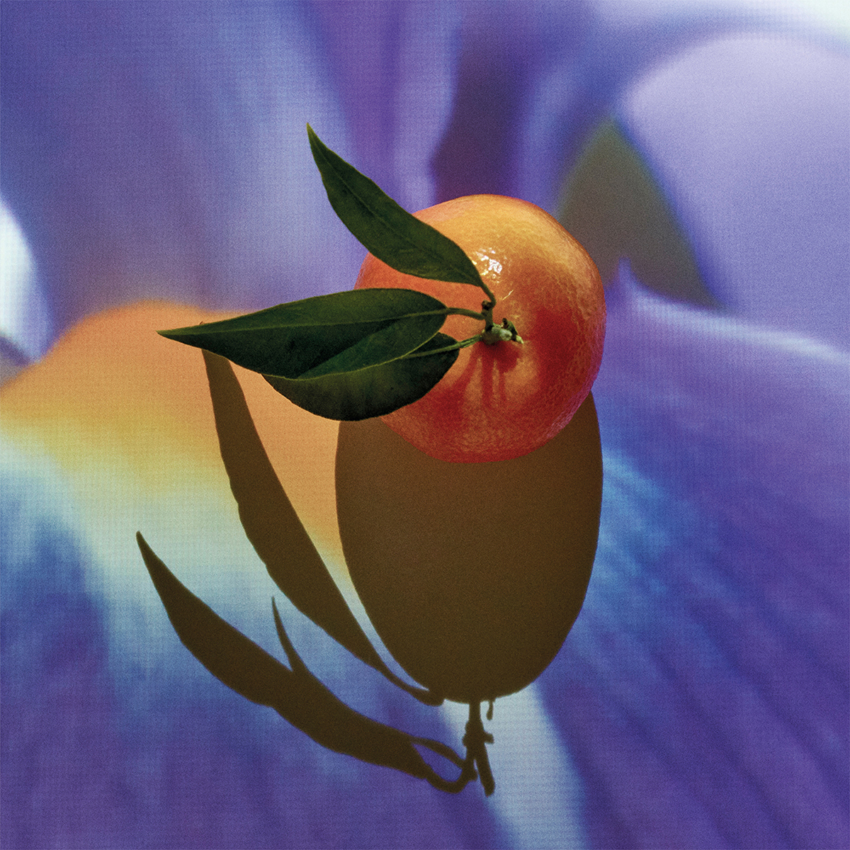 LOEWE - Solo Elixir Eau de Parfum