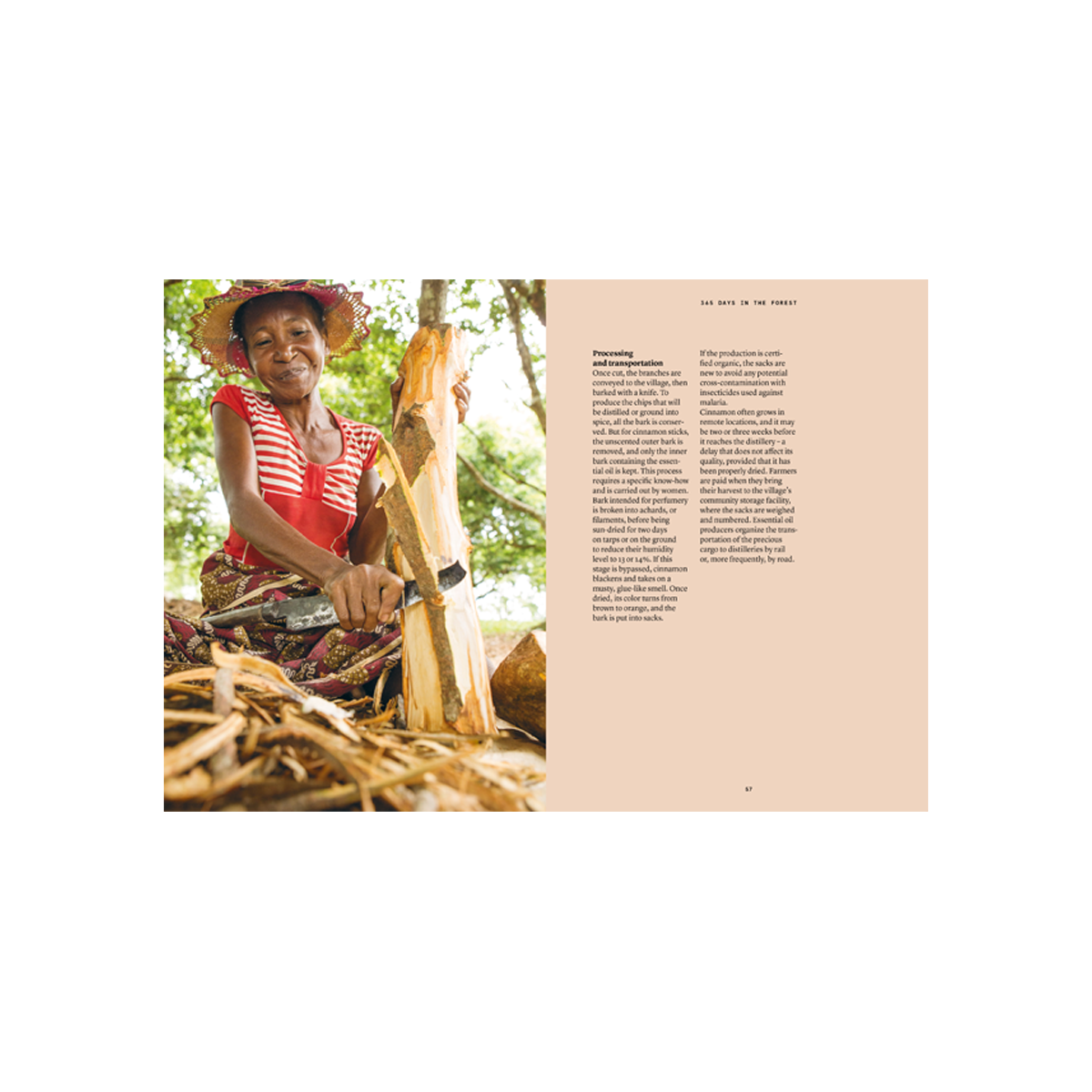 By Nez - Collective Cinnamon In Perfumery