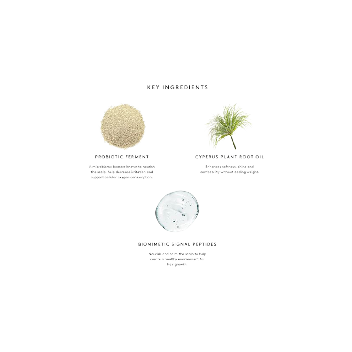 Virtue - Flourish Conditioner