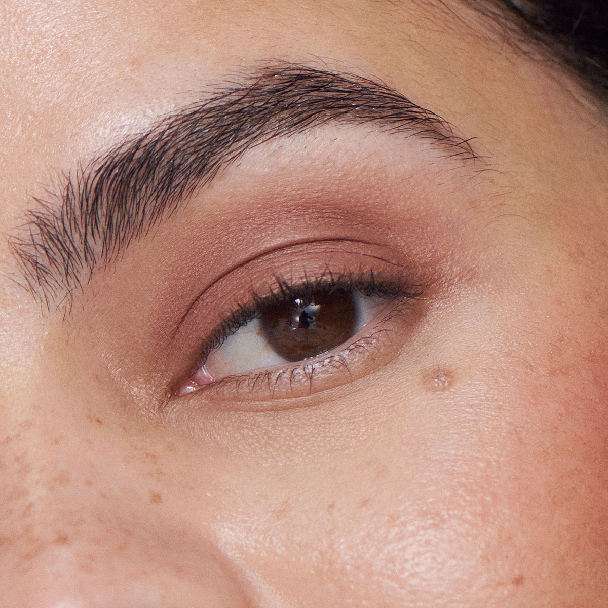Ilia - Liquid Powder Matte Eye Tint