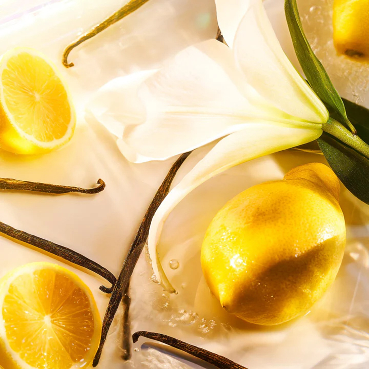 ROJA London - 51 Pour Femme Parfum