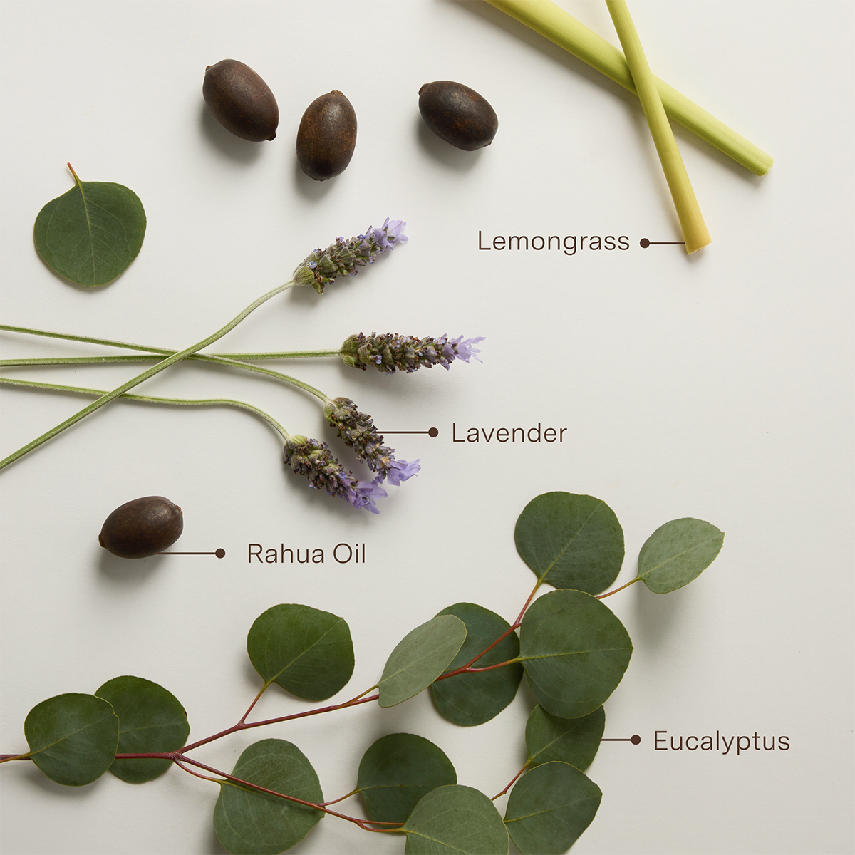 Rahua - Voluminous Conditioner