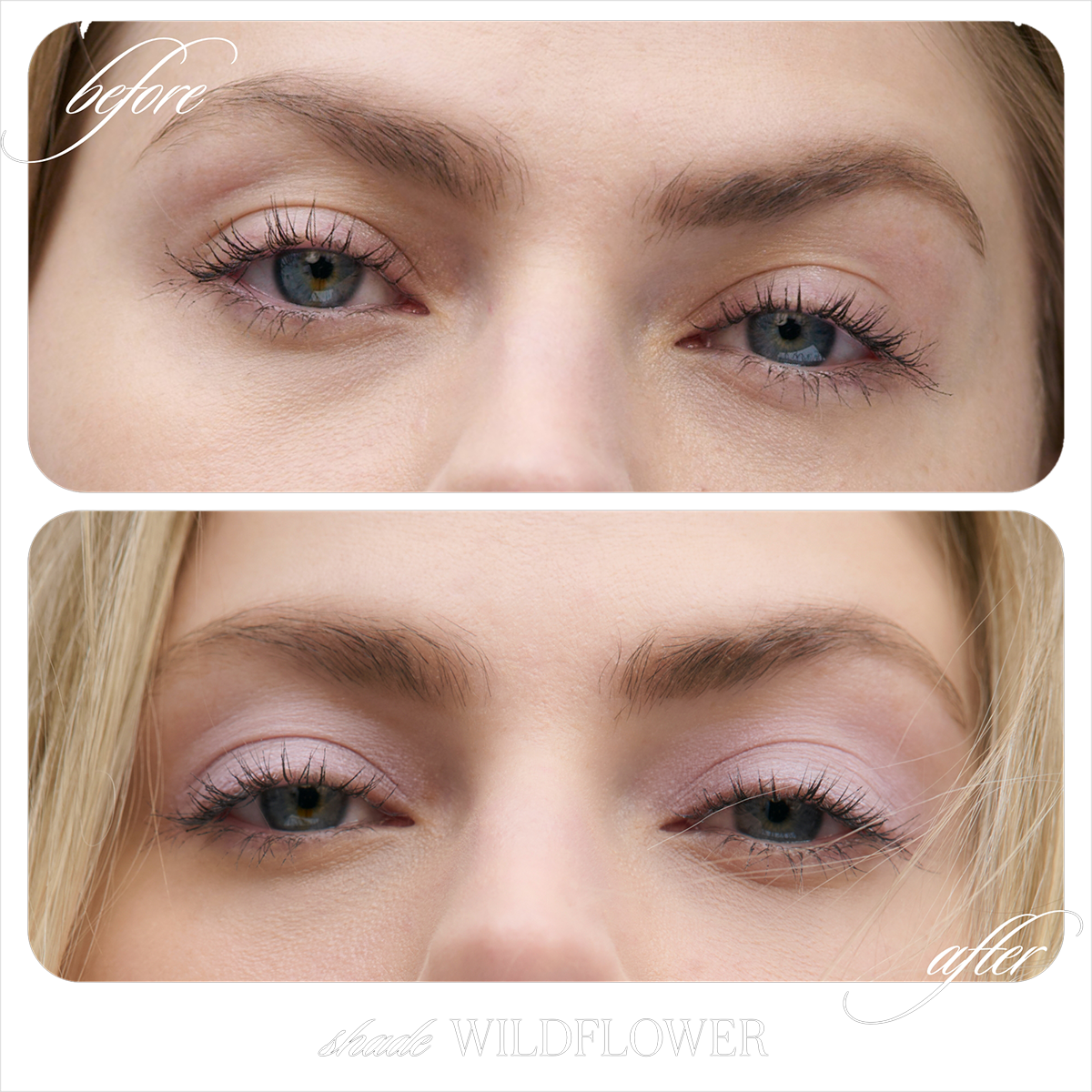 RMS Beauty - Cashmere Matte Eyelights - Wildflower
