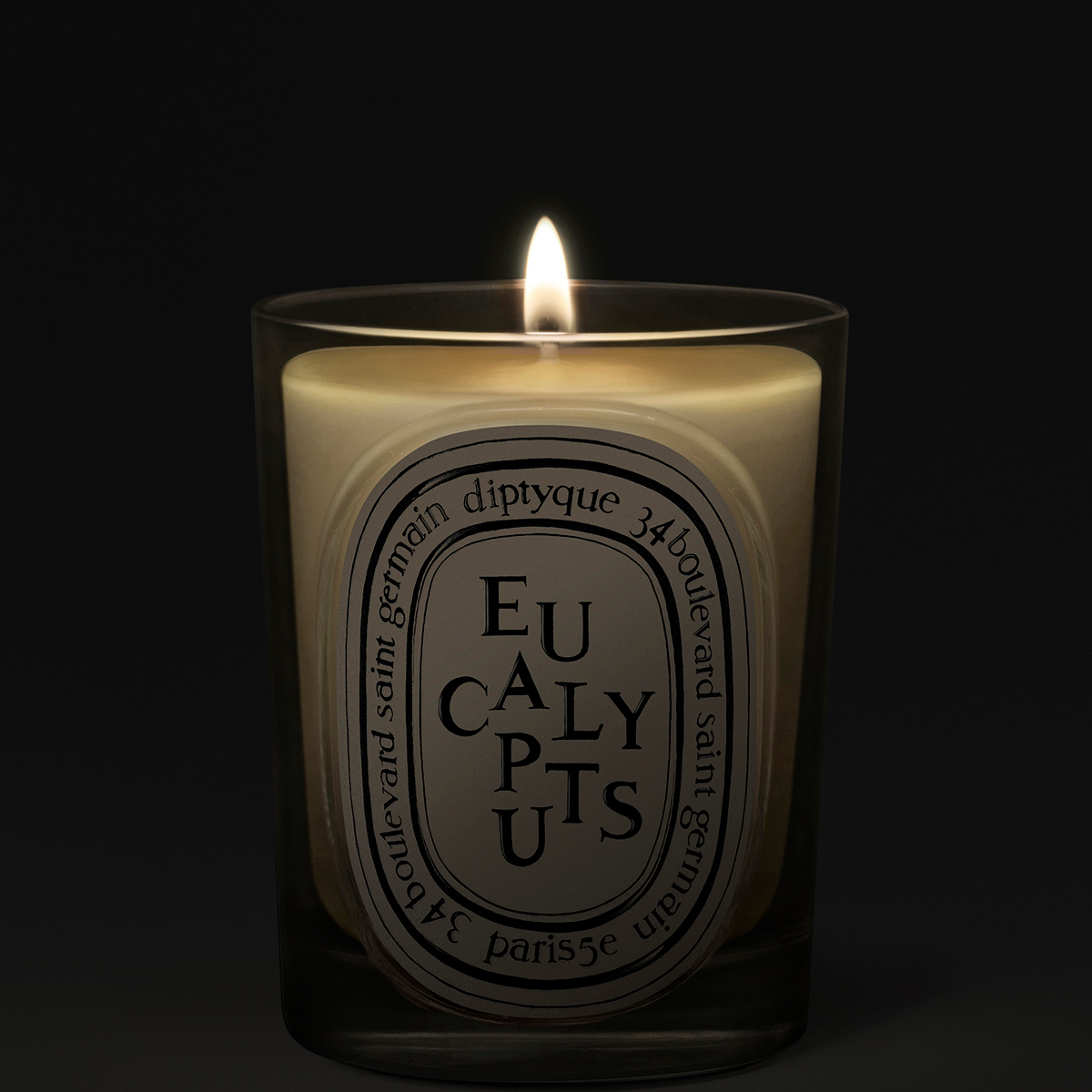Diptyque - Eucalyptus Classic Scented Candle