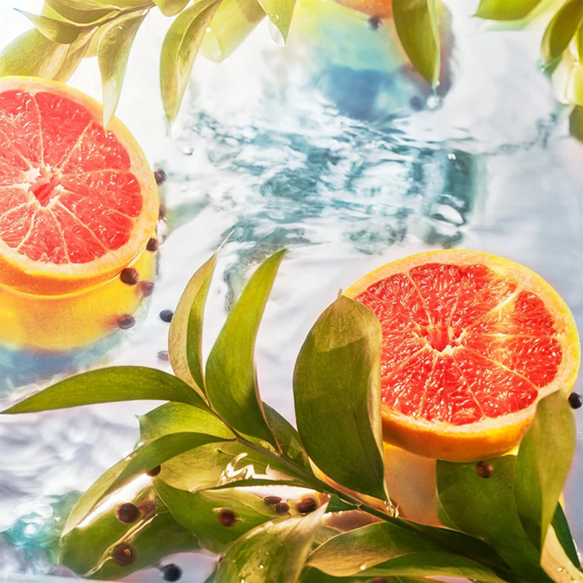 ROJA London - Elysium Eau Intense Pour Homme Parfum