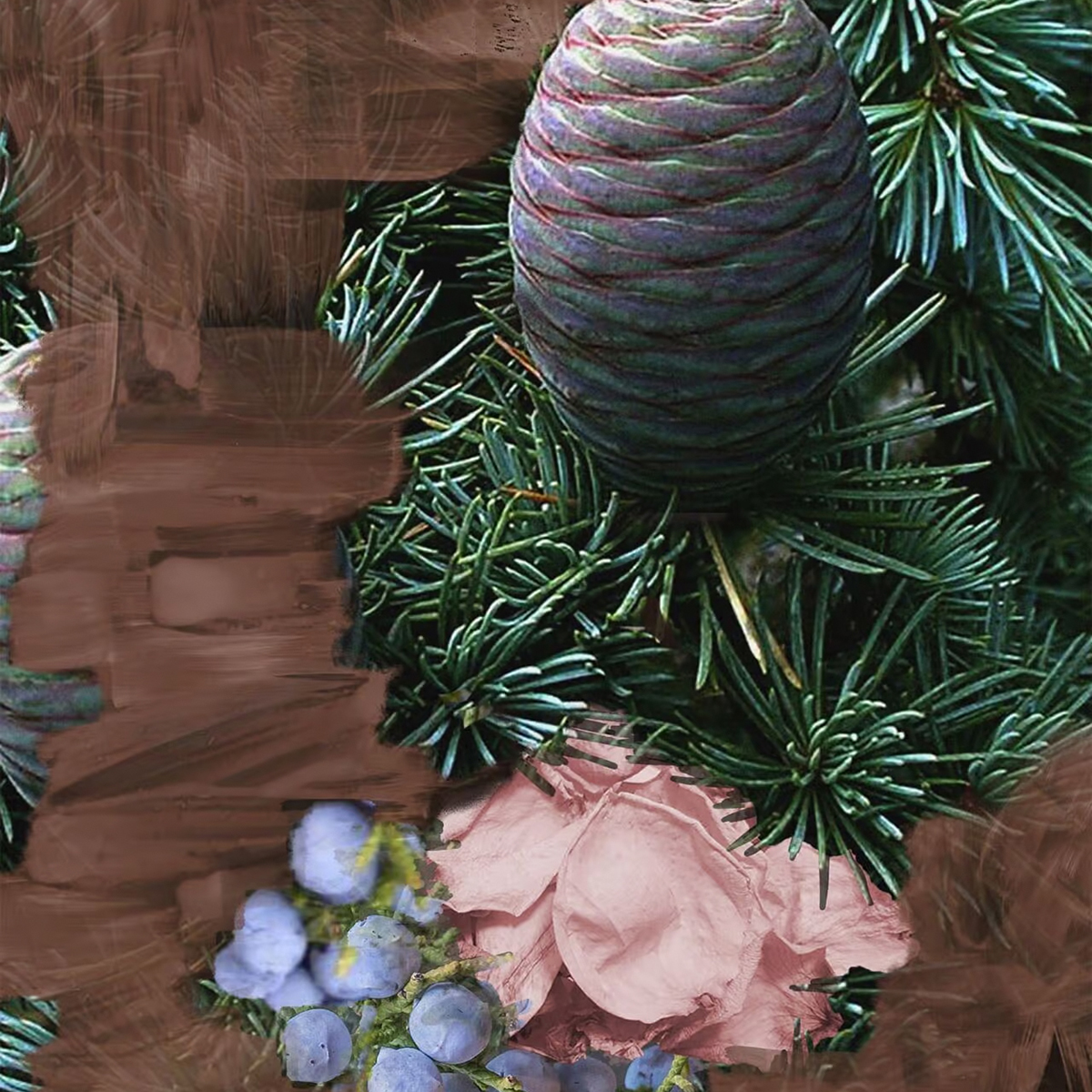 Byredo - Super Cedar Eau de Parfum