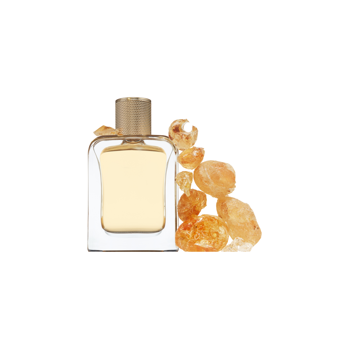 Veronique Gabai - Sexy Garrigue Eau de Parfum