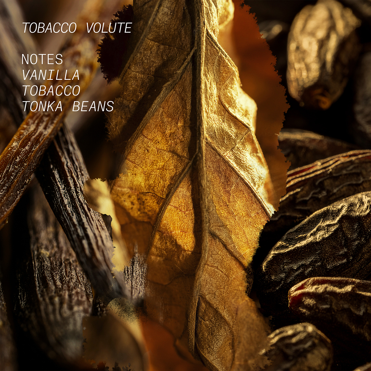 L’atelier Parfum - Tobacco Volute Eau de Parfum