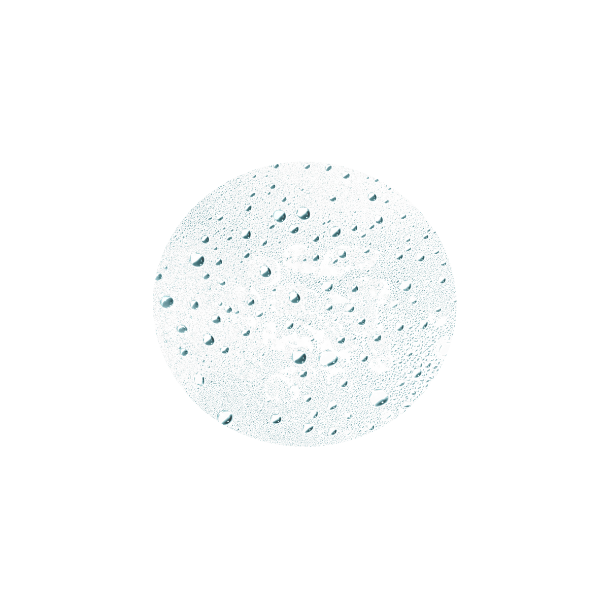 Leonor Greyl - Laque Souple