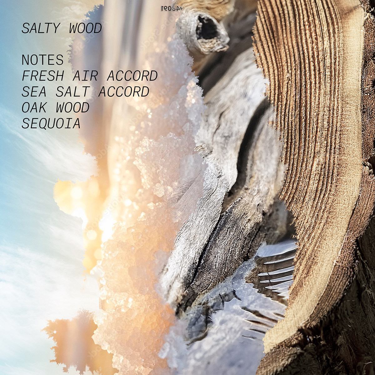 L’atelier Parfum - Salty Wood Eau de Parfum