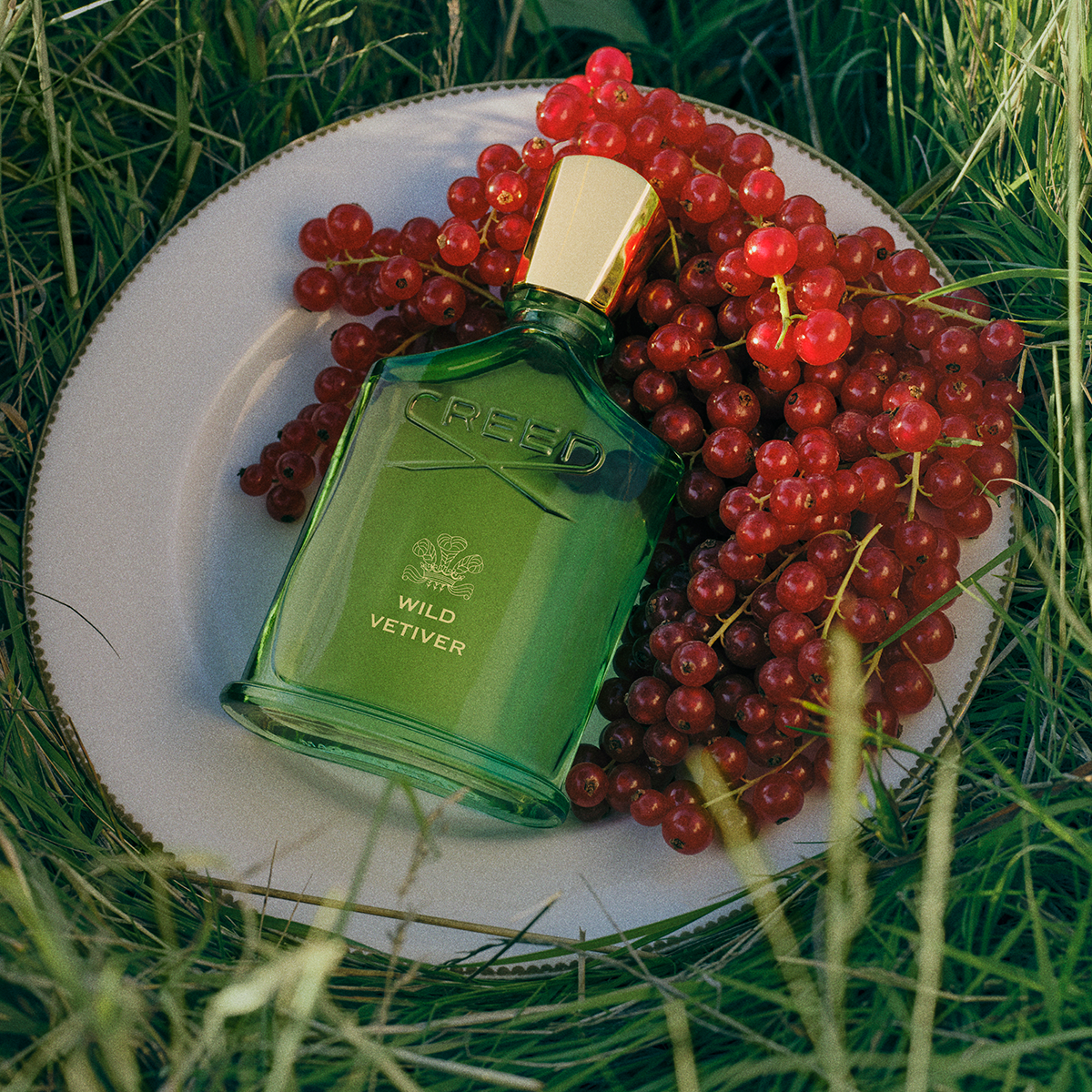 Creed - Wild Vetiver Eau de Parfum