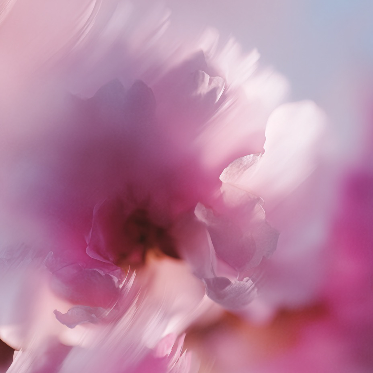 L’atelier Parfum - Sakura Kiss Eau de Parfum