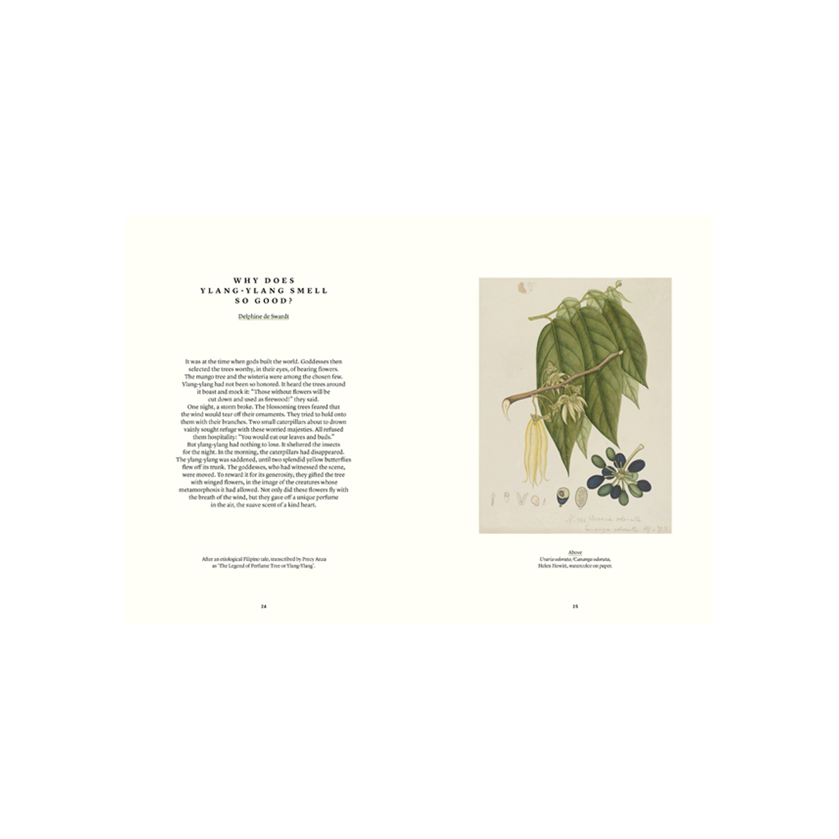 By Nez - Collective Ylang Ylang In Perfumery