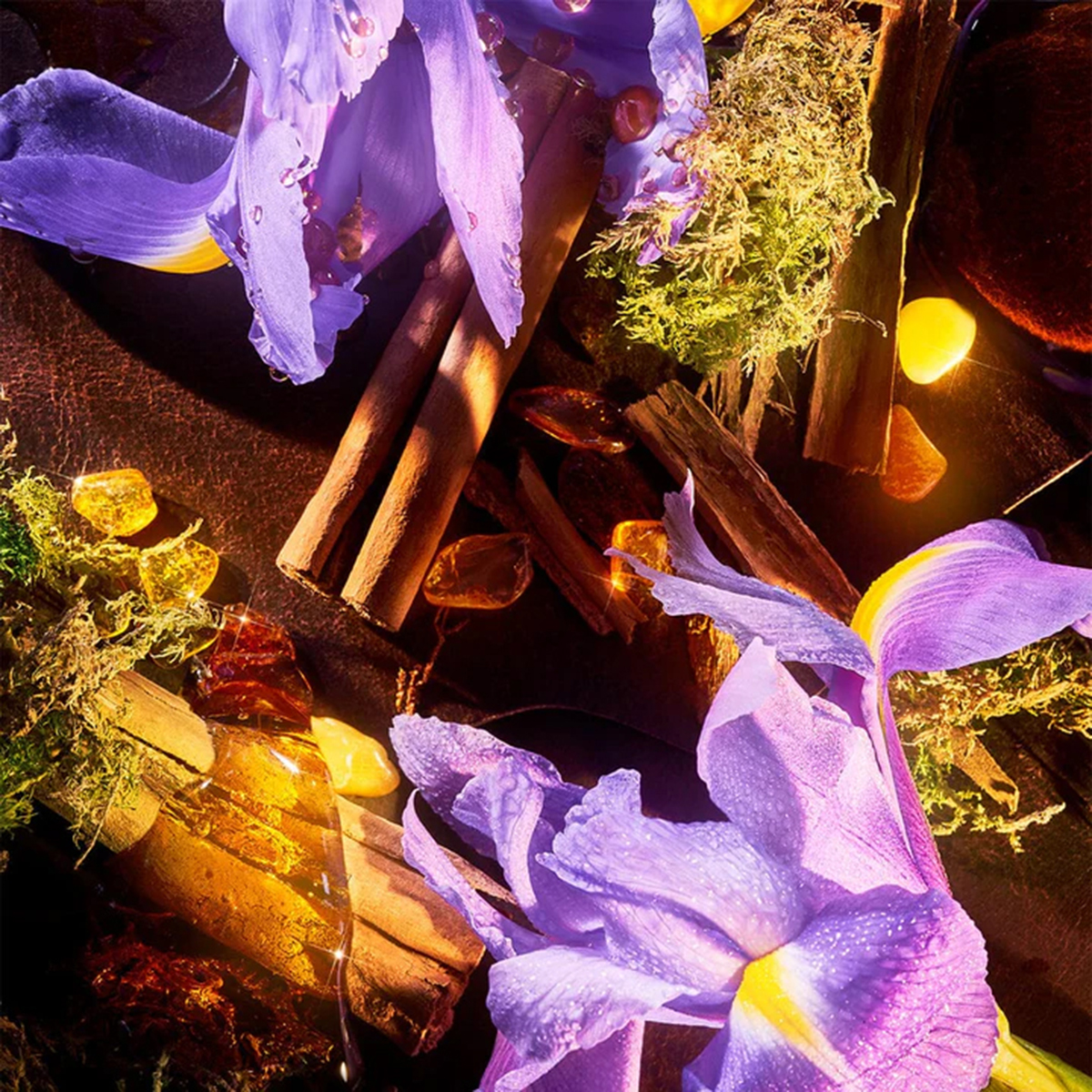 ROJA London - ROJA Haute Luxe Parfum