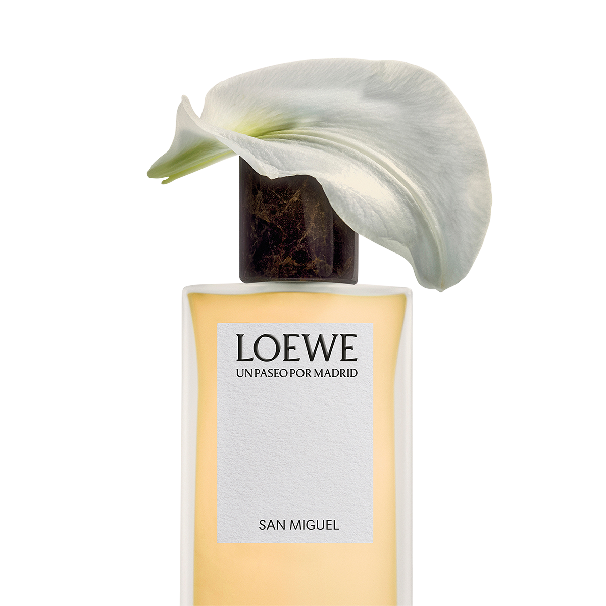LOEWE - Primavera En El Mercado De San Miguel
