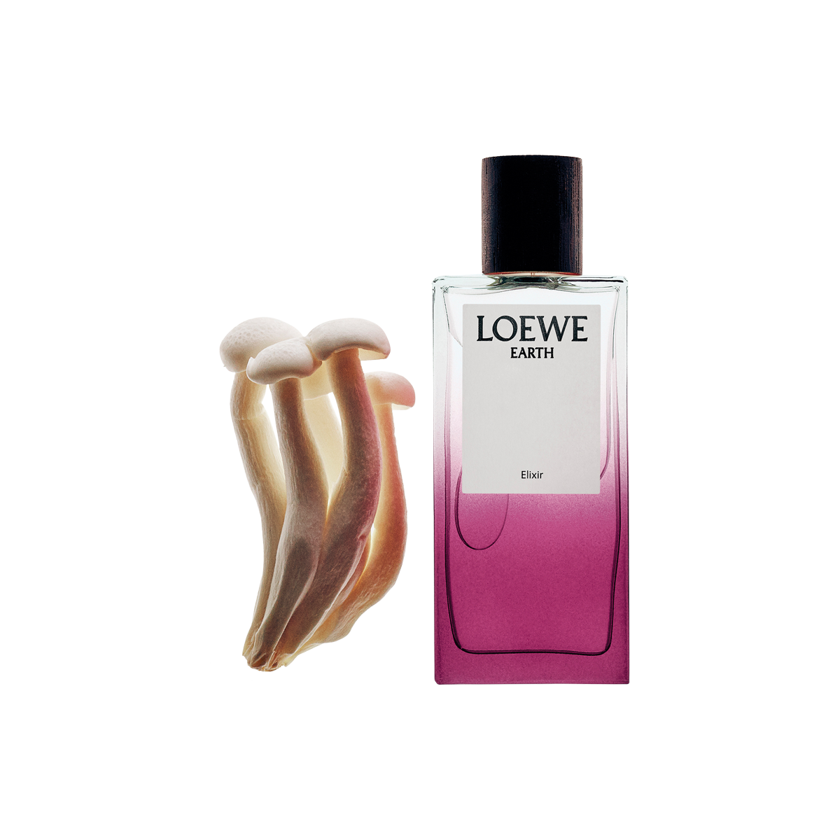 LOEWE Earth Elixir Eau de Parfum 50ml - Skins