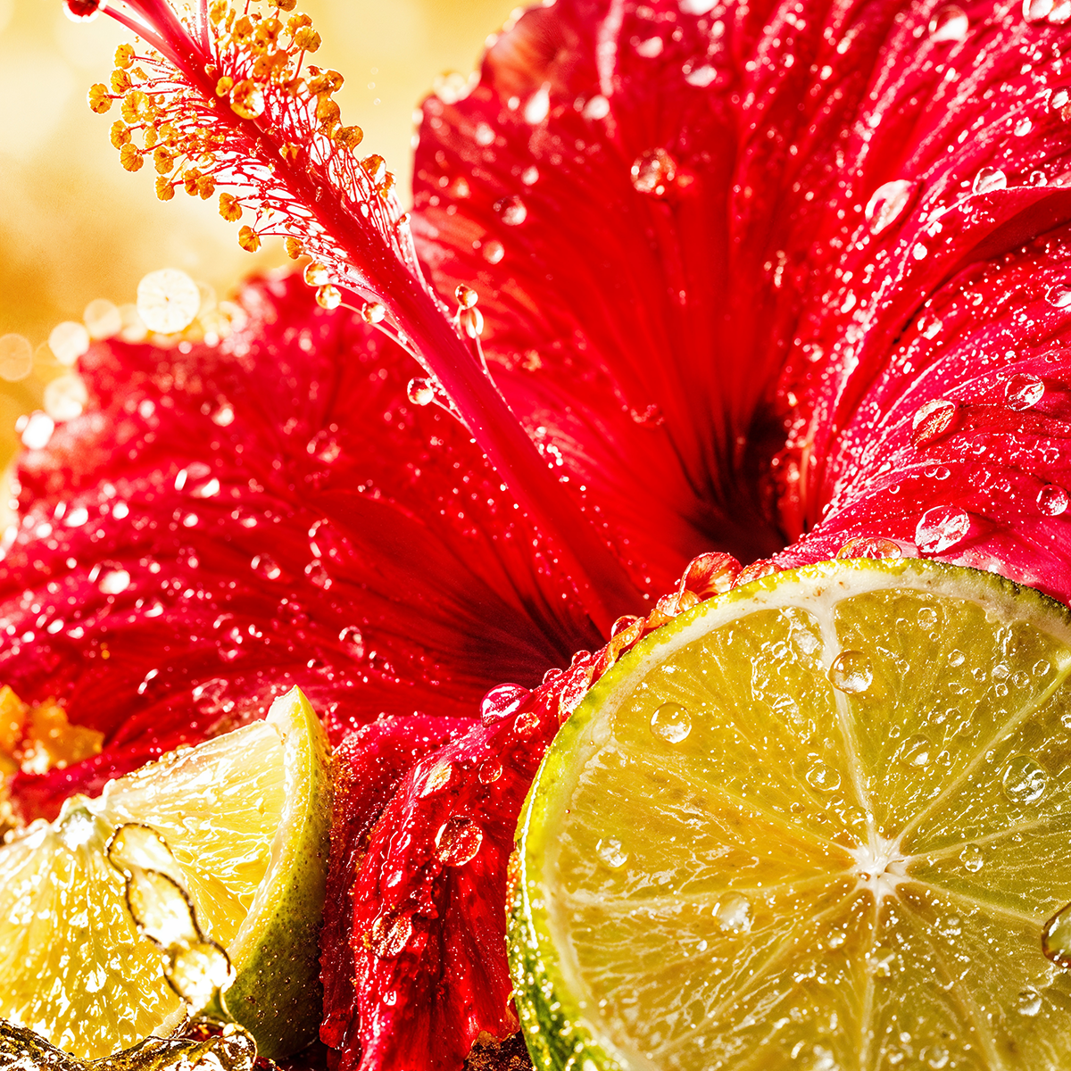Simone Andreoli - Sunplosion Eau de Parfum