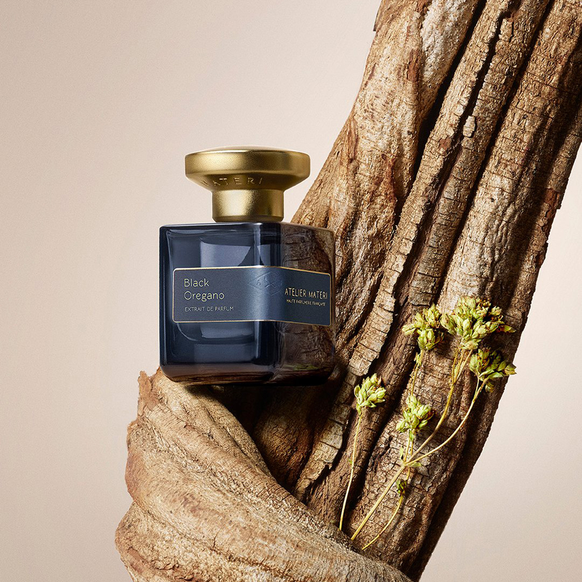 Atelier Materi - Black Oregano Extrait de Parfum