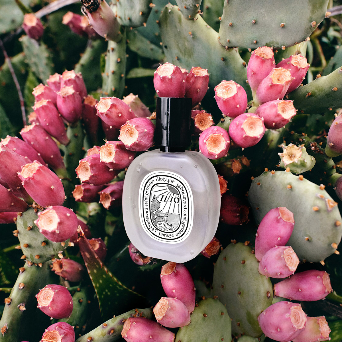Diptyque - Ilio Hair Mist