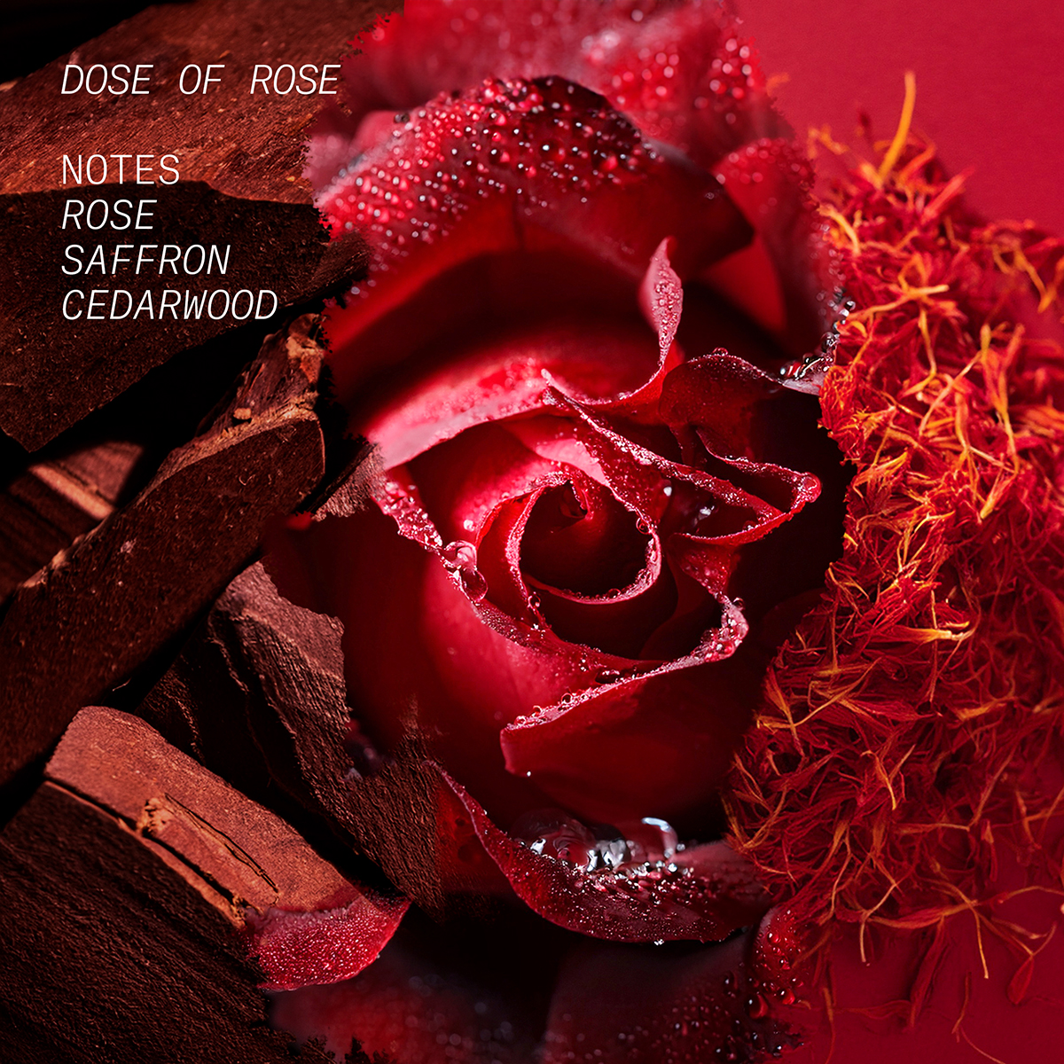 L’atelier Parfum - Dose Of Rose Eau de Parfum