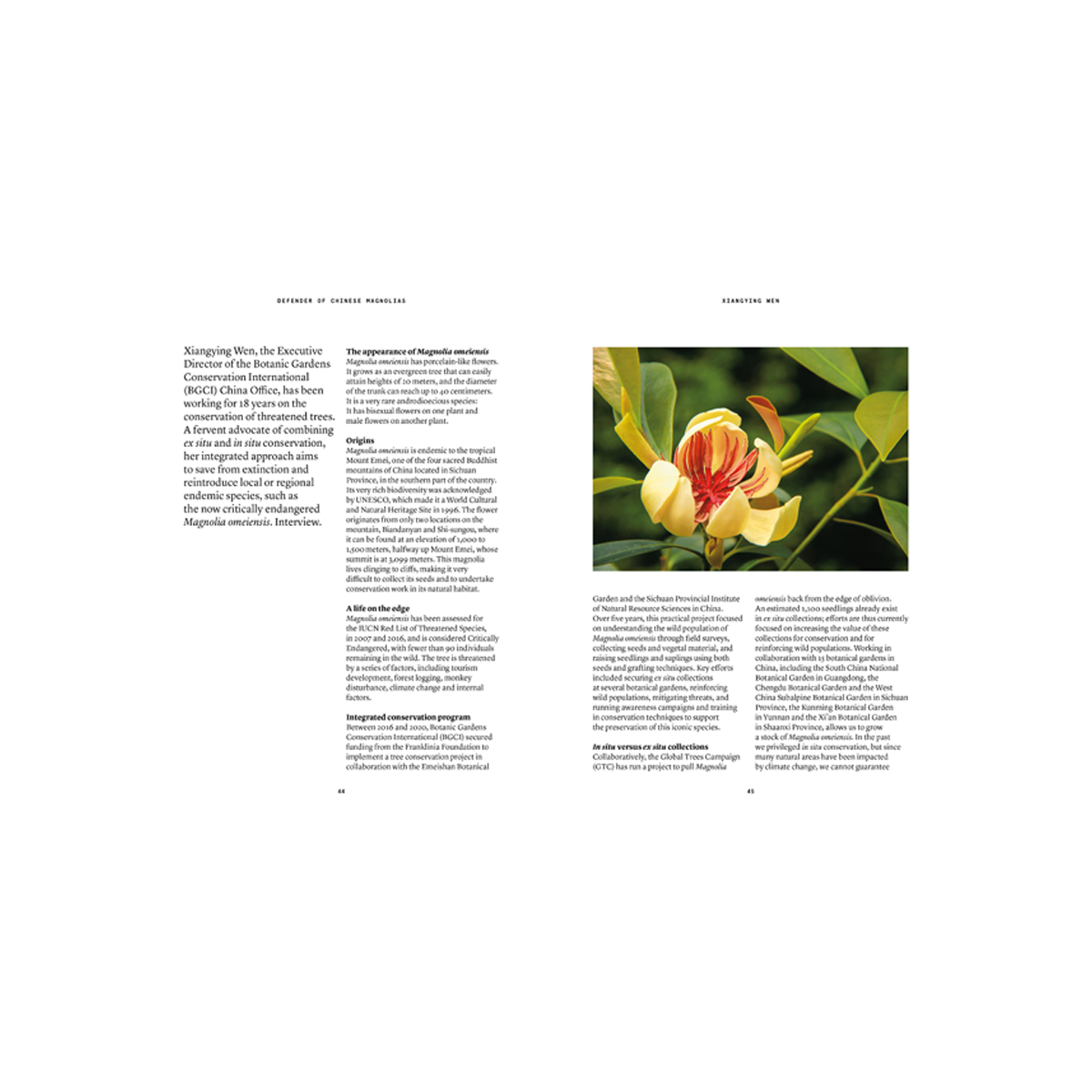 By Nez - Collective Magnolia In Perfumery