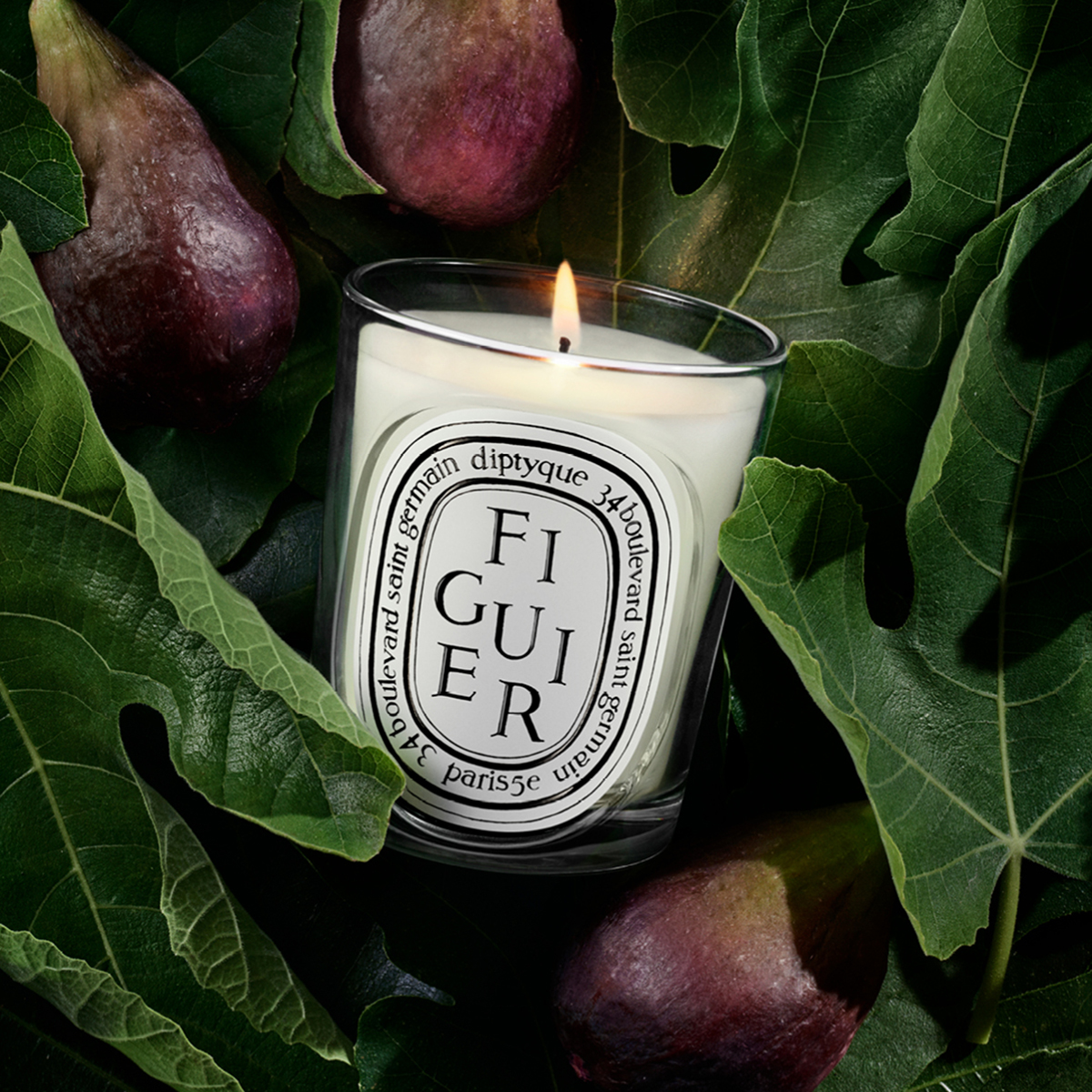 Diptyque - Figuier Classic Scented Candle Refill