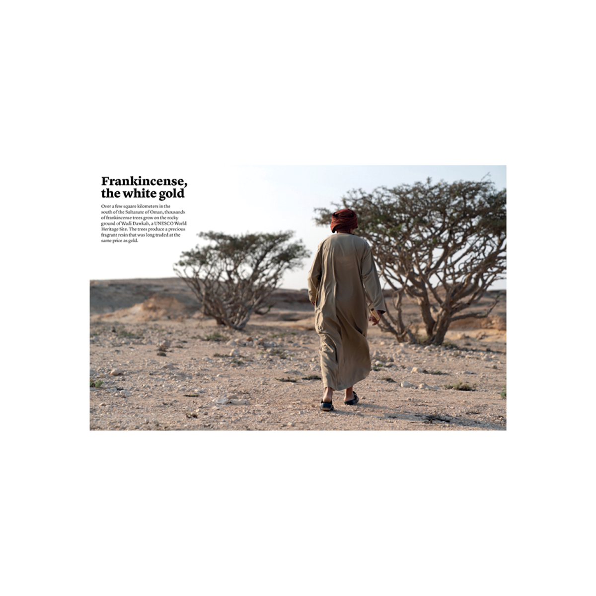 By Nez - The Olfactory Magazine 19 The Good And Bad