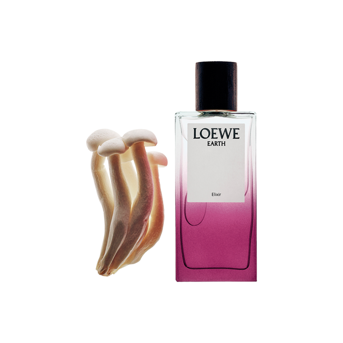 LOEWE - Earth Elixir Eau de Parfum
