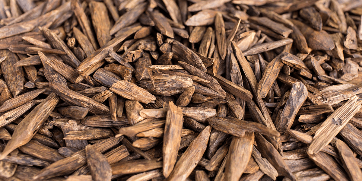 Het gebruik van Palo Santo in parfums