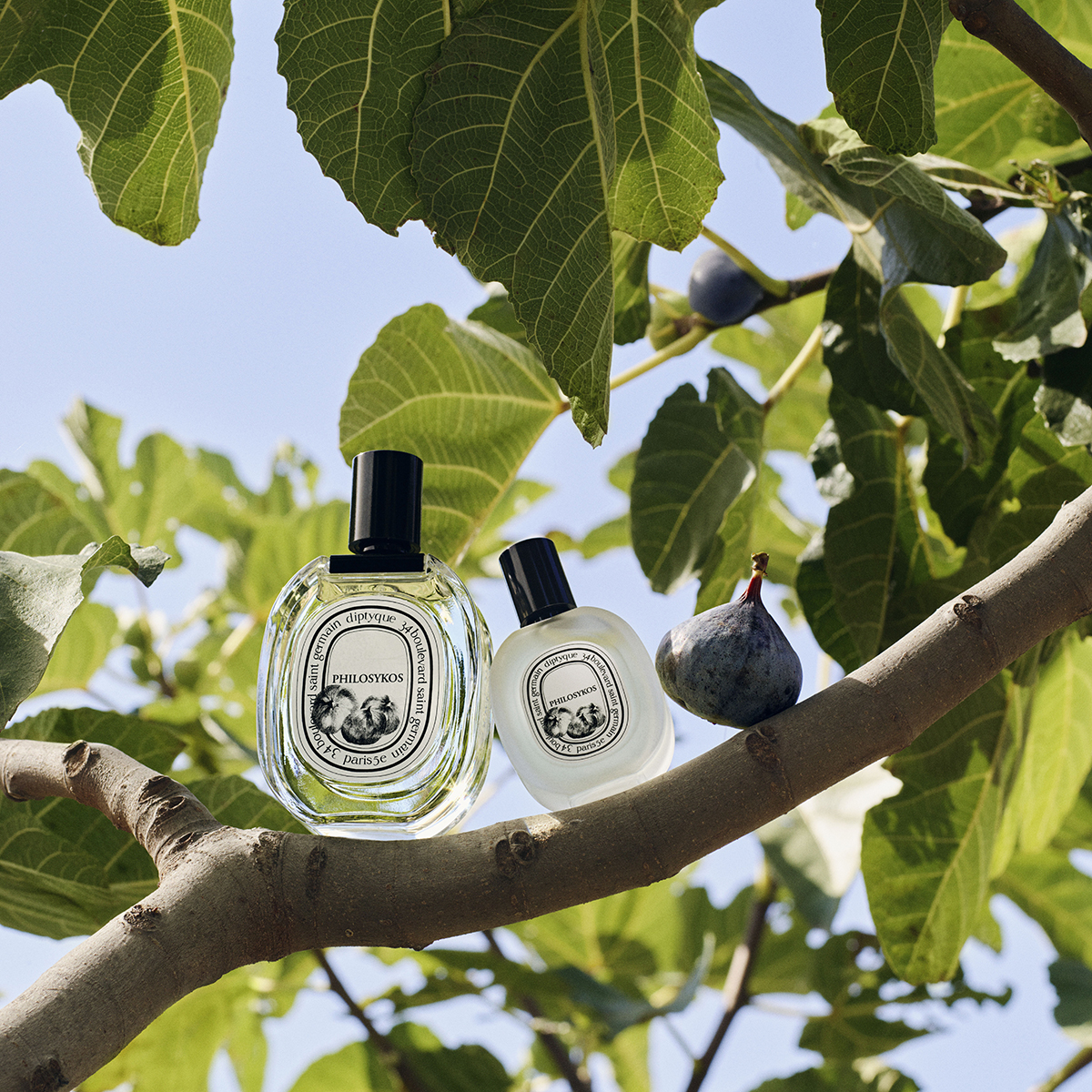 Diptyque - Philosykos Hair Mist