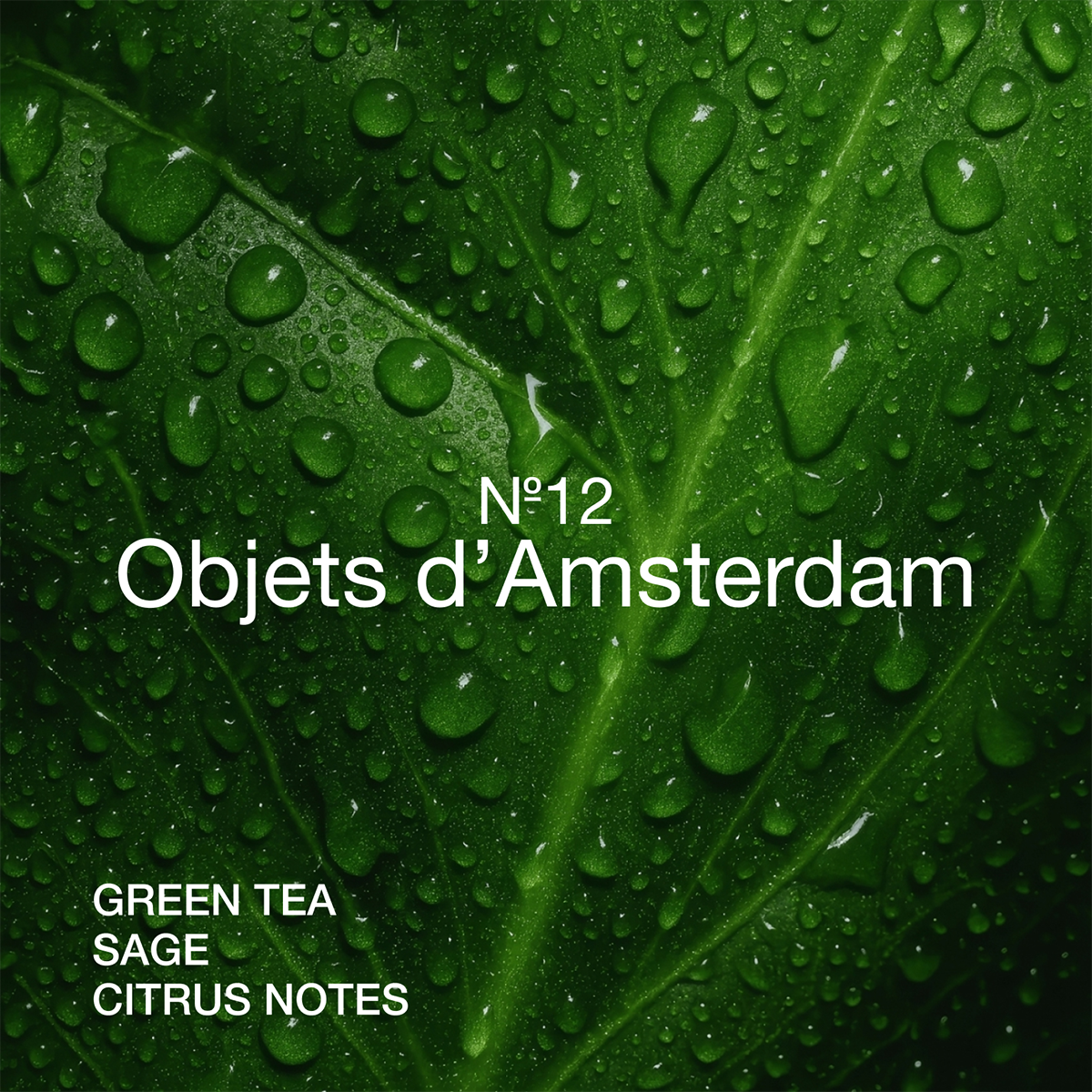 Marie-Stella-Maris - Objets d'Amsterdam Mousse