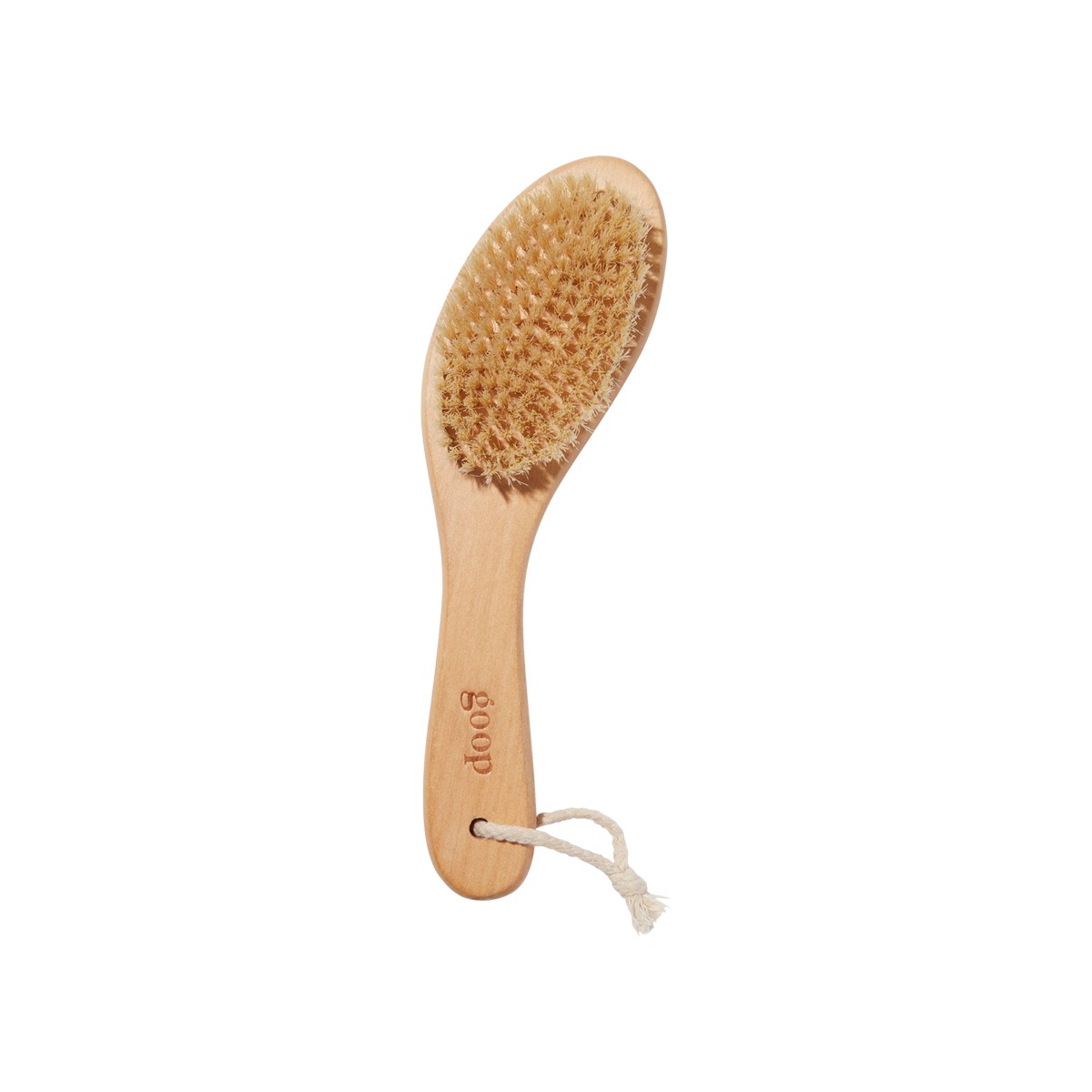 goop - Ultimate Dry Brush