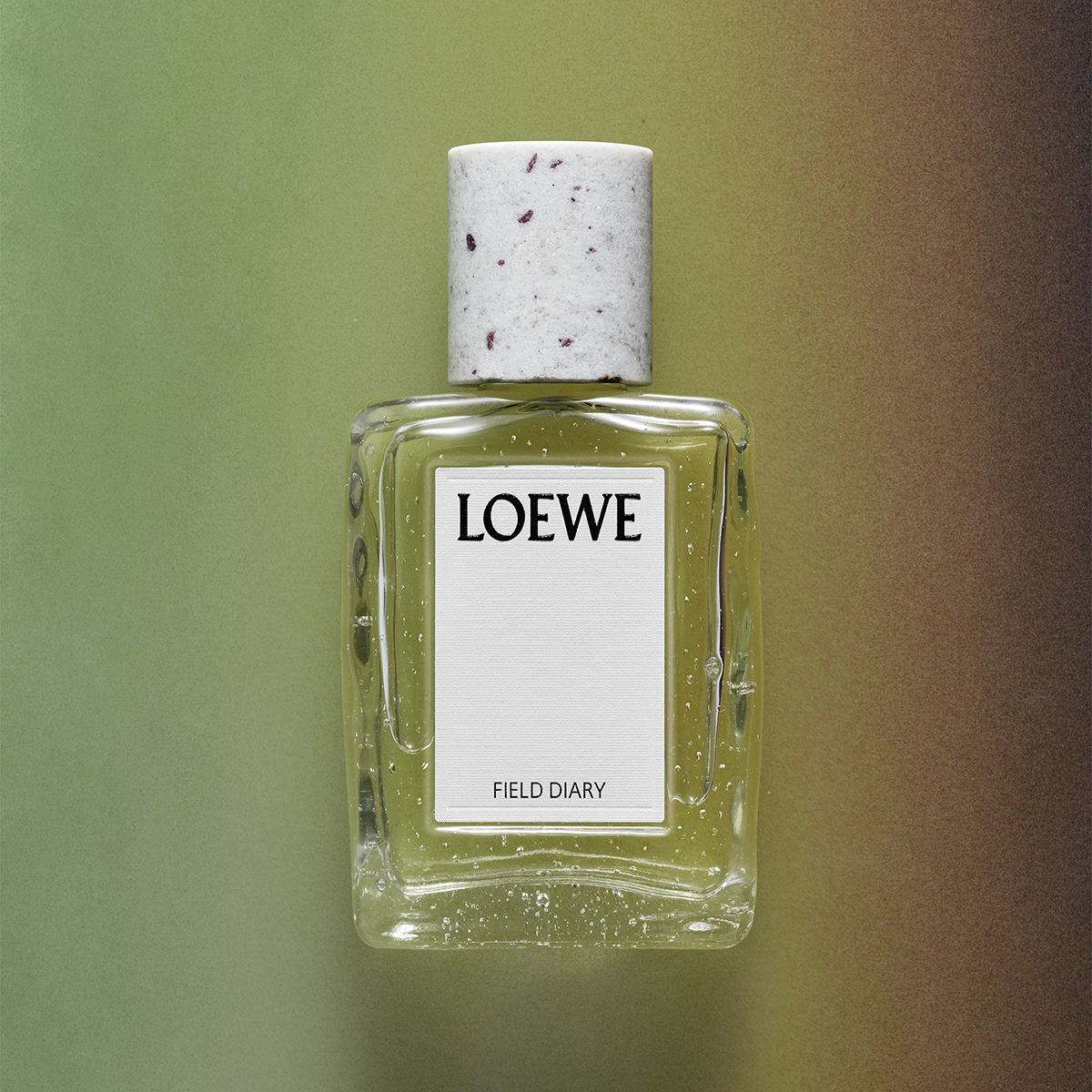 LOEWE - Field Diary Eau de Parfum