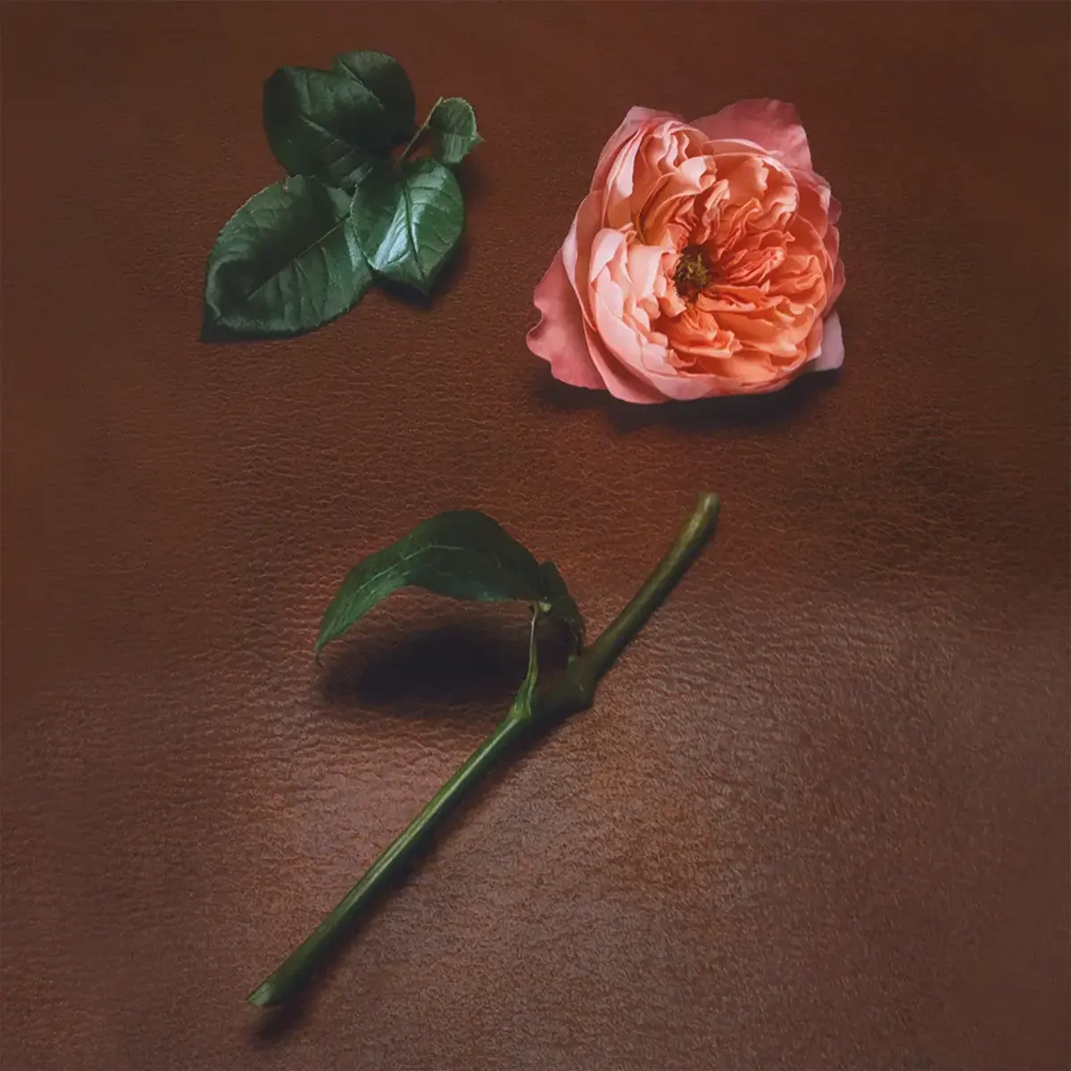 ORMAIE - Rose Mosaïque Extrait de Parfum