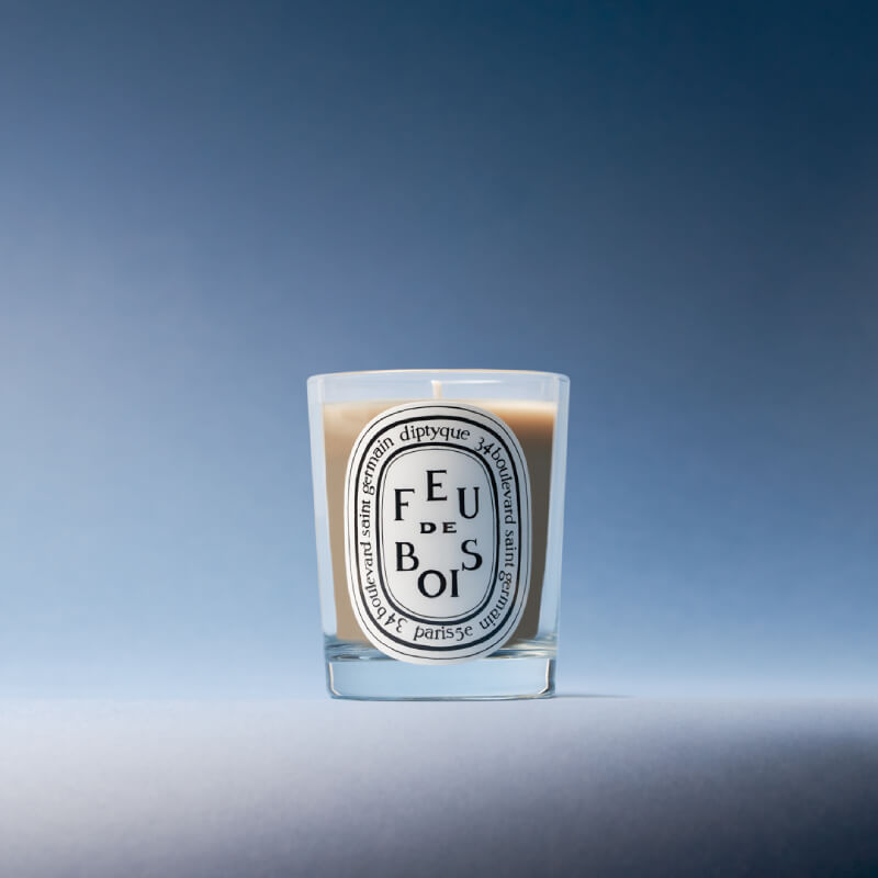 Diptyque-Feu-de-bois-Skins