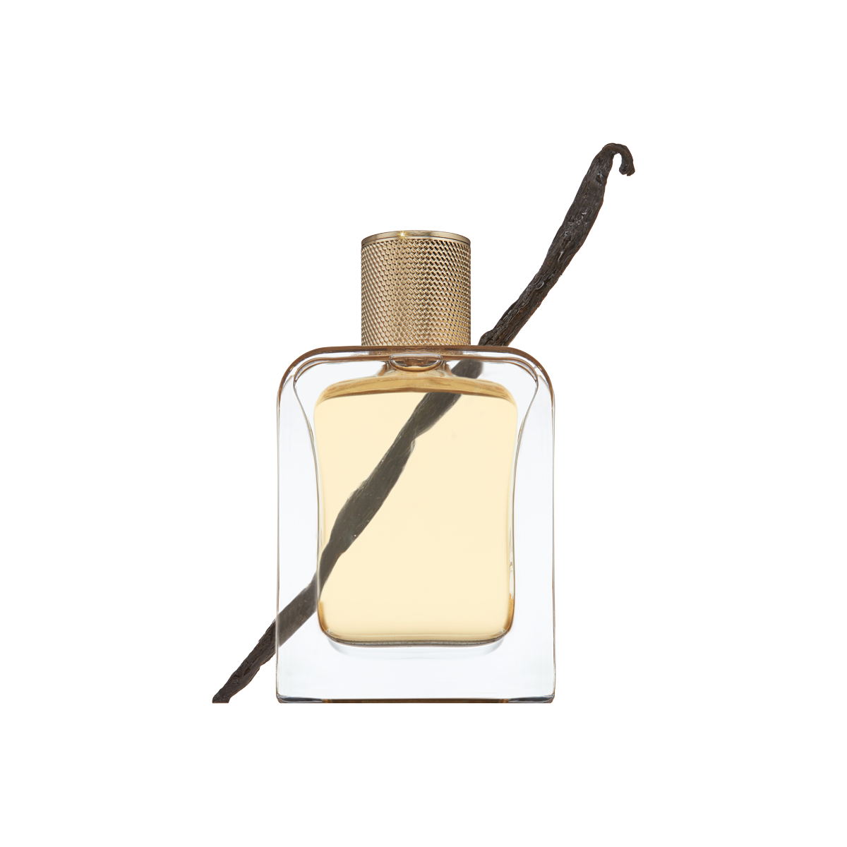 Veronique Gabai - Le Point G Eau de Parfum