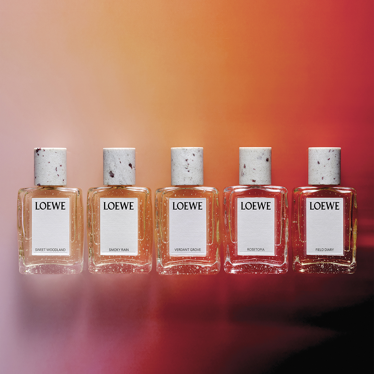 LOEWE - Sweet Woodland Eau de Parfum