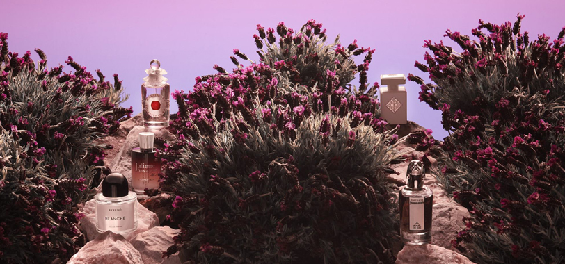 Op zoek naar jouw parfum voor deze zomer? Dit is onze top 10