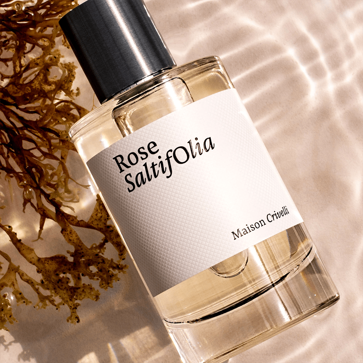 Maison Crivelli - Rose Saltifolia Eau de Parfum