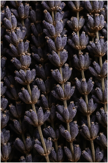 Aromatisch