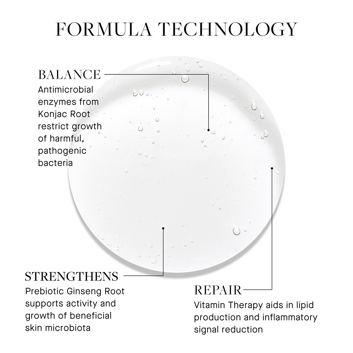 Kat Burki - Vitabiome™ Active Skin Optimizer