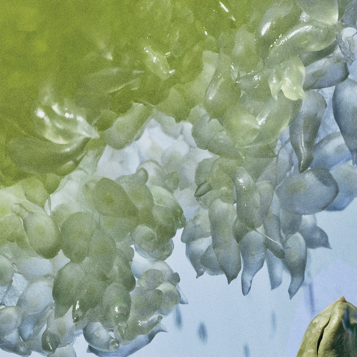 LOEWE - Verdant Grove Eau de Parfum