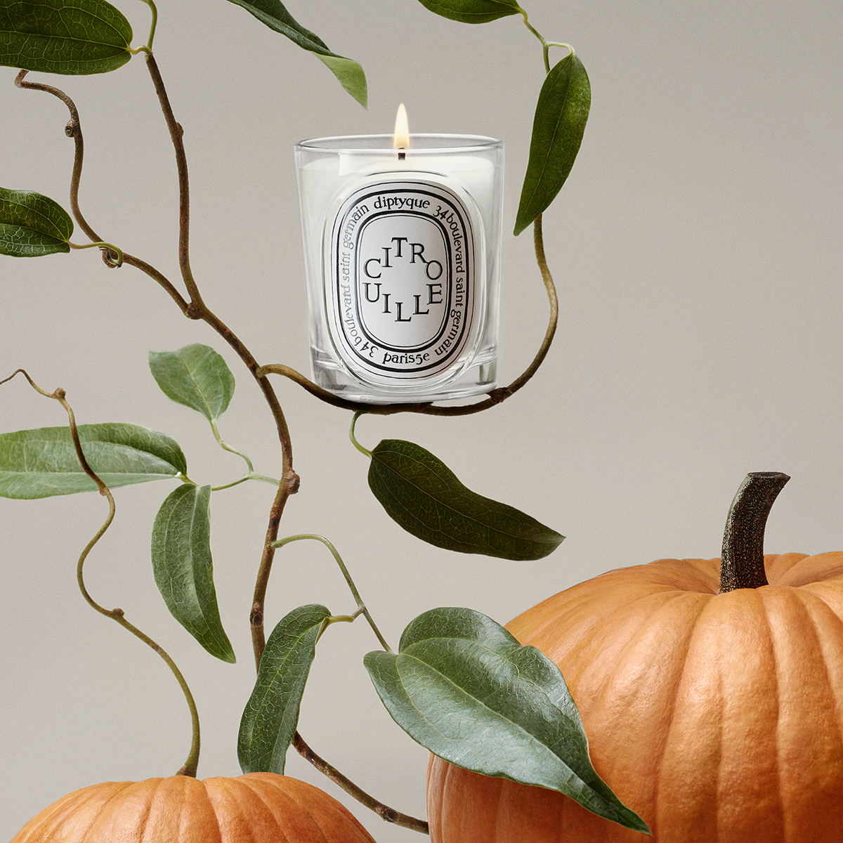 Diptyque - Citrouille Classic Candle