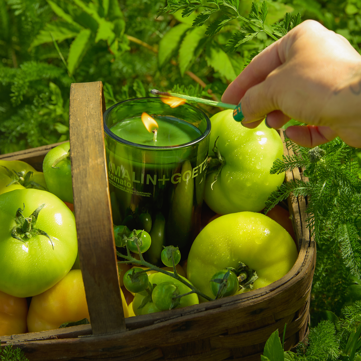 MALIN+GOETZ - Tomato Candle Green Wax